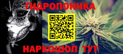 spice Анжеро-Судженск