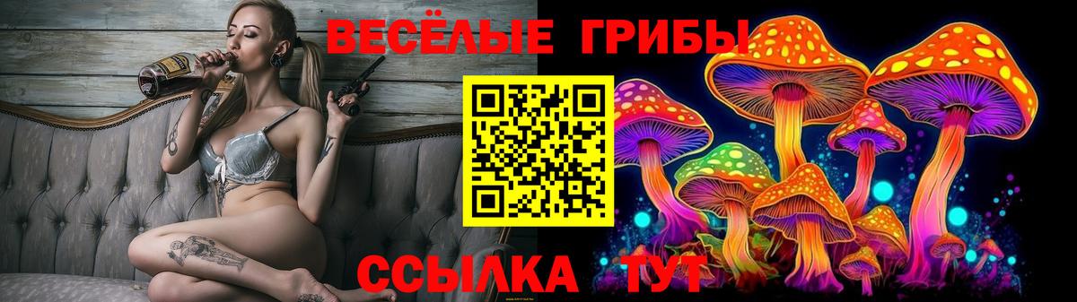 Псилоцибиновые грибы Cubensis  Вход с VPN  Барнаул  Галлюциногенные грибы Psilocybe 